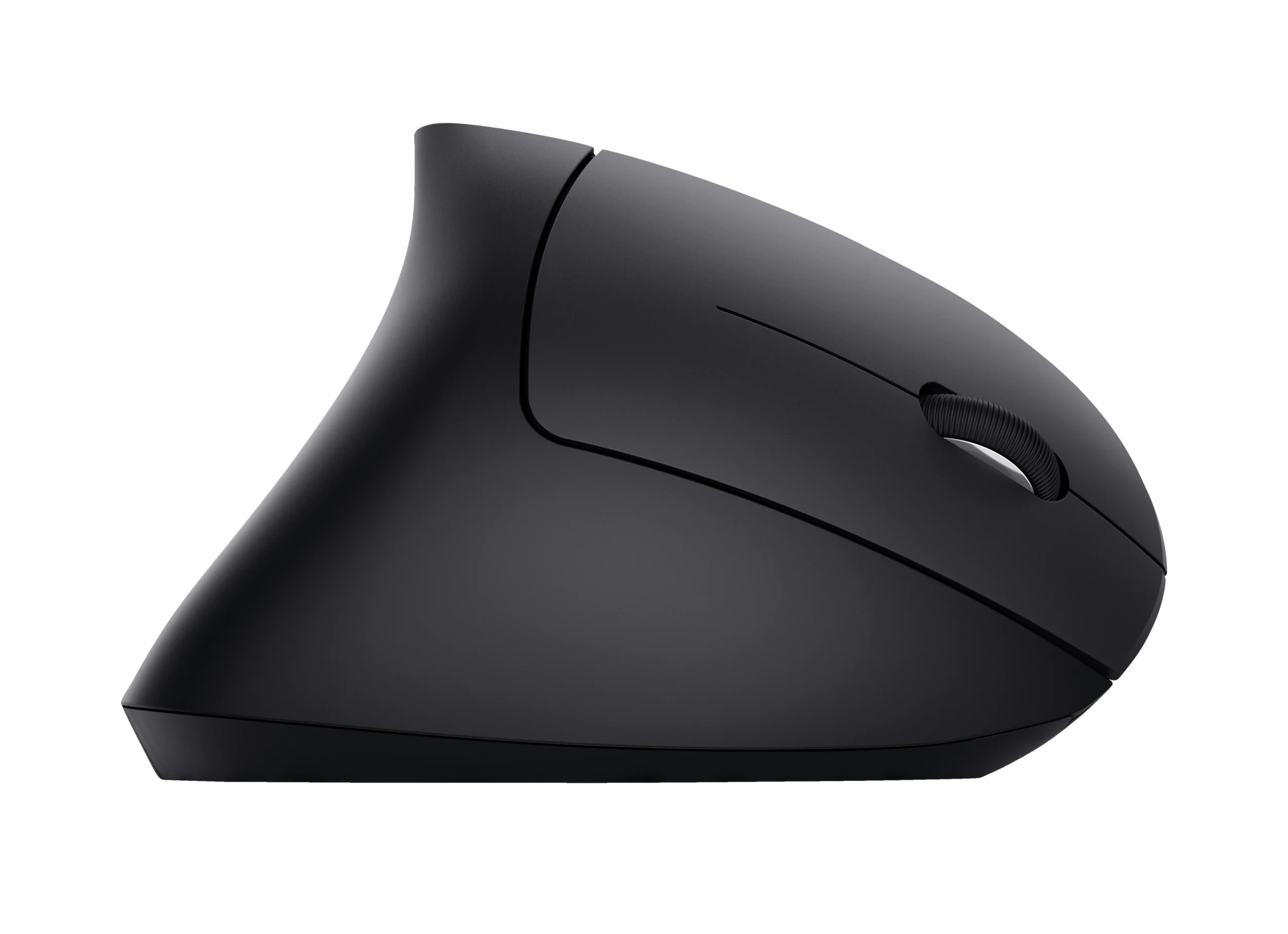 SOURIS - TRUST - VERTO SANS FIL – Image 2